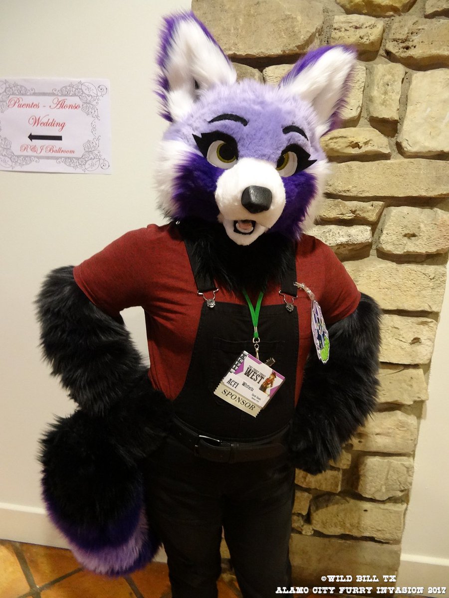 wildbilltx's tweet photo. Here's more of my photos from @FurryInvasion 2017 in San Antonio for #FursuitFriday #ACFI2017 The whole sets at: https://t.co/jpSf1pTtol https://t.co/vCCvAUJ6MK