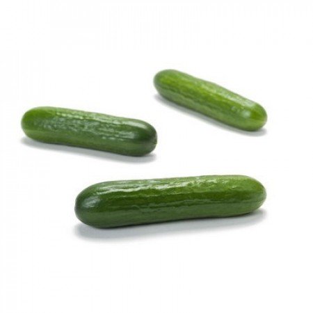Novagreen2011's tweet photo. Novagreen A.E. - Φυτώριο Πιστοποιημένων Σποροφύτων https://t.co/CD02Scpvcl