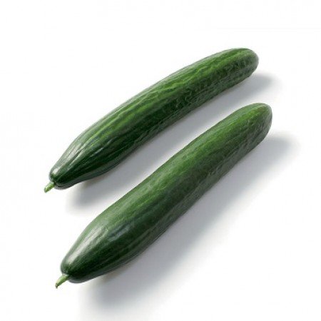 Novagreen2011's tweet photo. Novagreen A.E. - Φυτώριο Πιστοποιημένων Σποροφύτων https://t.co/CD02Scpvcl