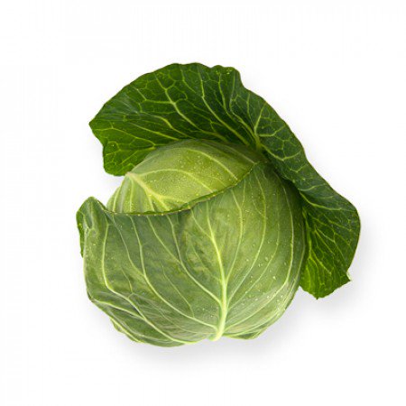Novagreen2011's tweet photo. Novagreen A.E. - Φυτώριο Πιστοποιημένων Σποροφύτων https://t.co/rFS7PfMZMc