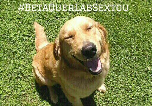 Boa noite amigos, tenham todos uma noite de #BetaQuerLabSextou cheia de alegria e paz pra todos vcs 🙏
#BetaQuerLab