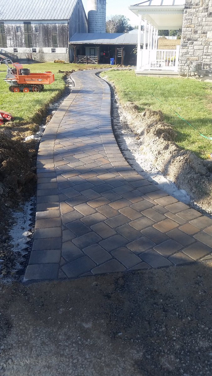 Bear Turf tweet media