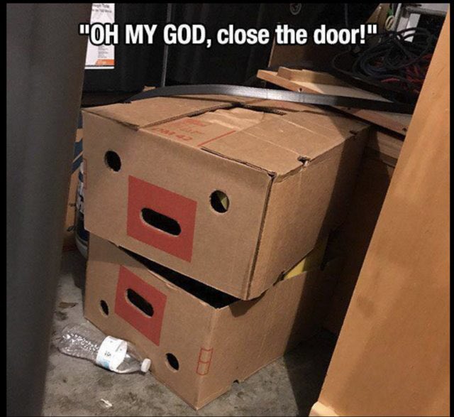 Nerdgasm616's tweet photo. Is nothing sacred anymore! #boxstyle https://t.co/AMIUFs2a5z