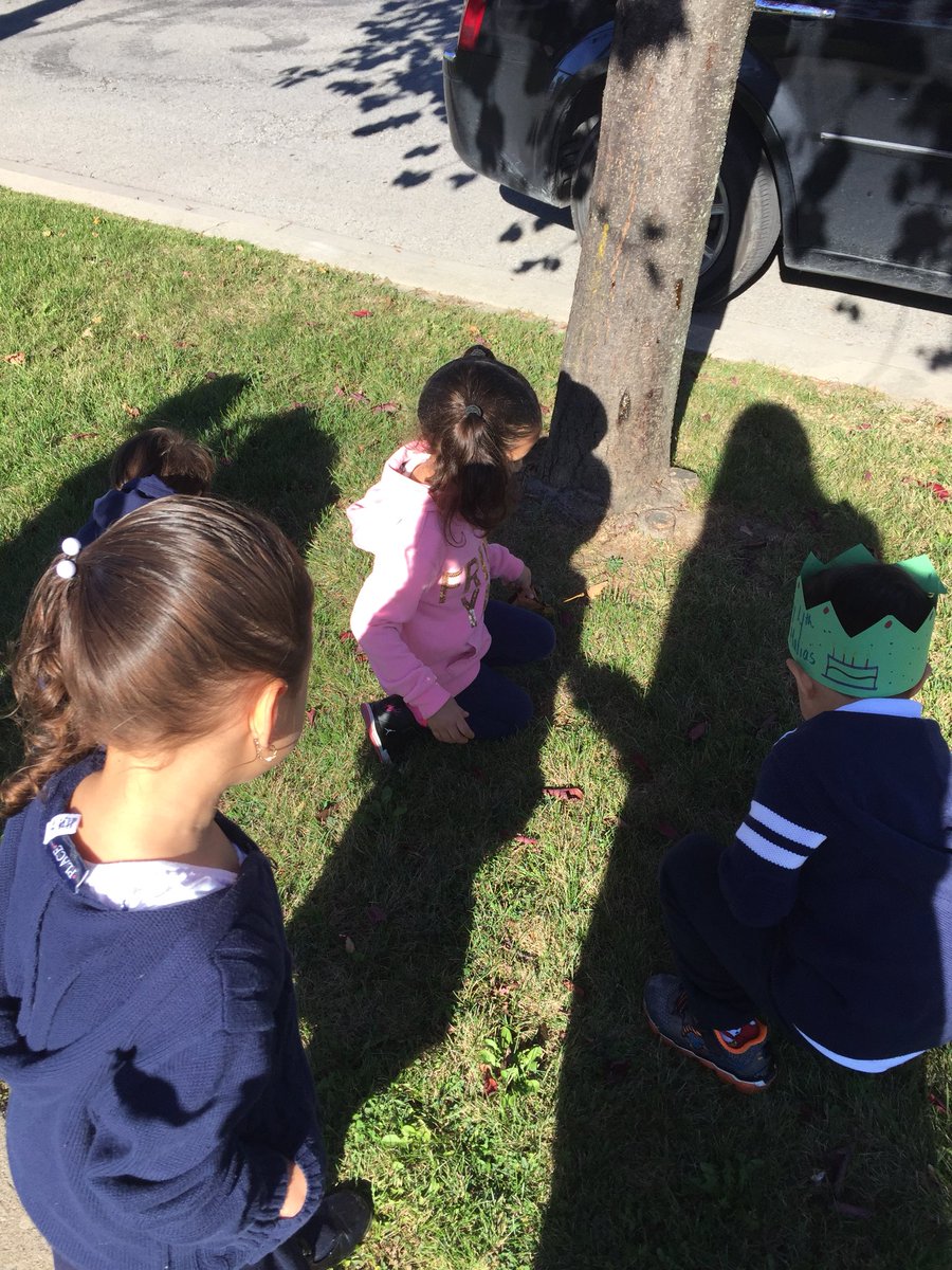 todayinELP117's tweet photo. Collecting autumn leaves to learn about and sort ๐๐๐ #leafinquiry @stconradcs @TCDSB @MICHAELaCACCAMO https://t.co/K9i3vSkNxB