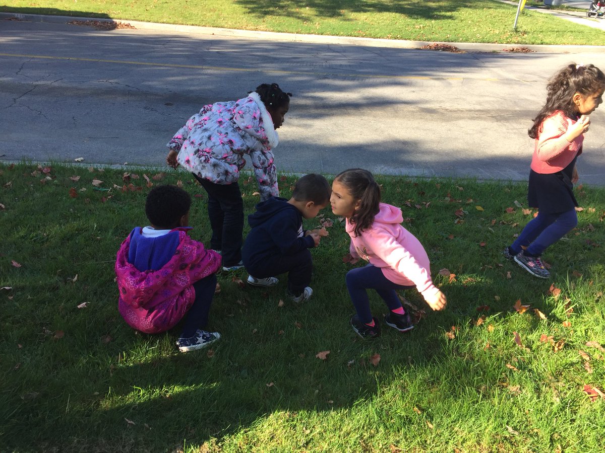 todayinELP117's tweet photo. Collecting autumn leaves to learn about and sort ๐๐๐ #leafinquiry @stconradcs @TCDSB @MICHAELaCACCAMO https://t.co/K9i3vSkNxB