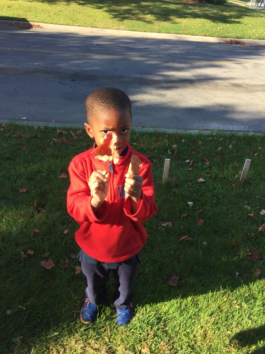 todayinELP117's tweet photo. Collecting autumn leaves to learn about and sort ๐๐๐ #leafinquiry @stconradcs @TCDSB @MICHAELaCACCAMO https://t.co/K9i3vSkNxB
