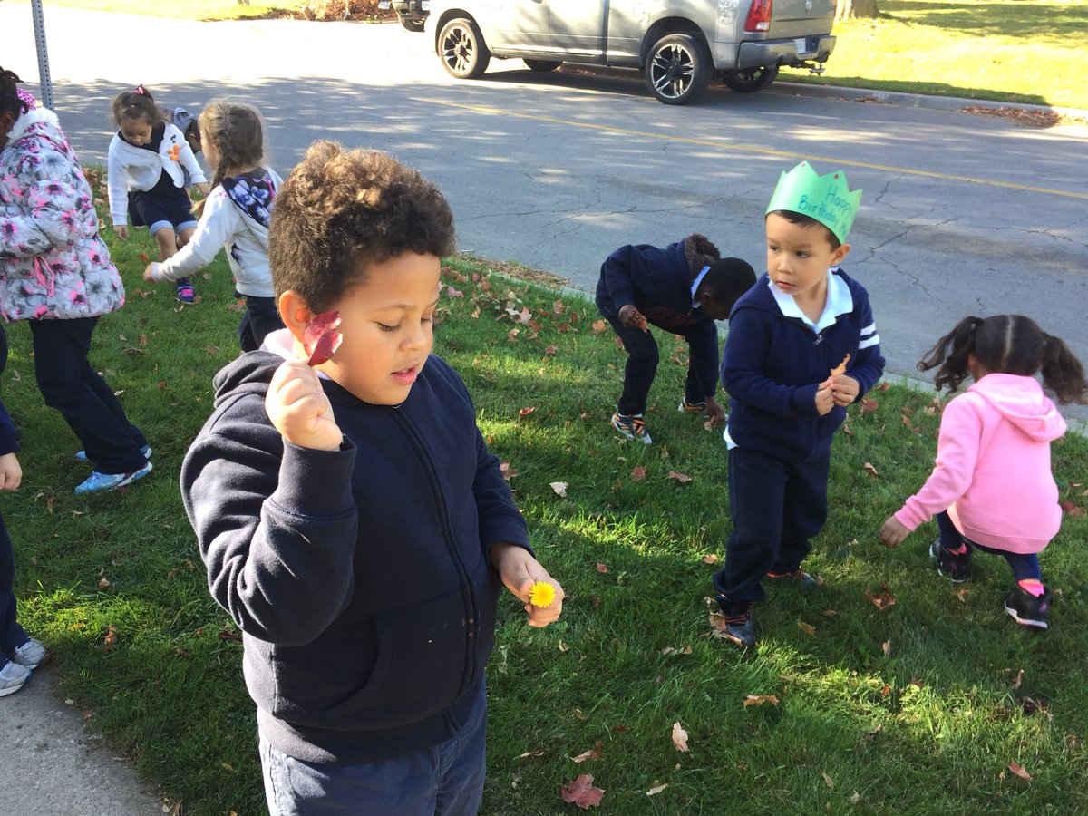 todayinELP117's tweet photo. Collecting autumn leaves to learn about and sort ๐๐๐ #leafinquiry @stconradcs @TCDSB @MICHAELaCACCAMO https://t.co/K9i3vSkNxB