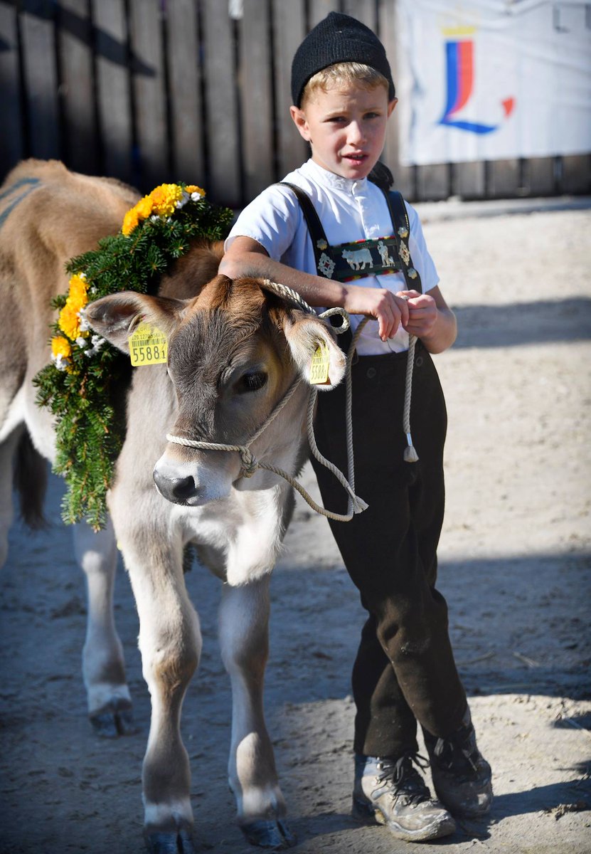 NewInZurich's tweet photo. This weekend is a great time to visit the #OlmaFest in StGallen - https://t.co/kZTKeXNoVi #switzerland #olma https://t.co/qr4zoNW3Vc
