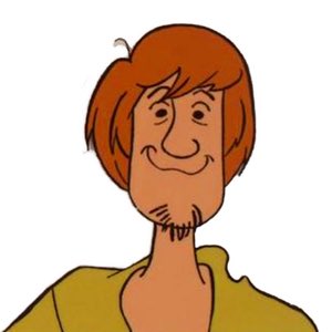   Happy birthday Shaggy!! 