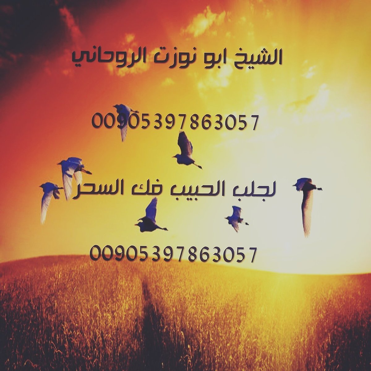 3almrohane2's tweet photo. الشيخ الروحاني
#جلب_الحبيب
#فك_السحر
#رد_المطلقة.......
#تسهيل_زواج_العوانس
#عمل_جلب_هيبه_وخضوع
#تحصين_مجاني
#للتواصل_00905397863057 https://t.co/M28TMFERMw