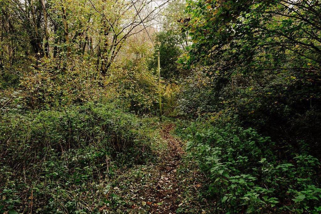 AndyNewsonPhoto's tweet photo. Communicate #visuallanguage #insidetheoutside #landscape #intimatelandscape #telegraphpole #woodlands #forest #edg… https://t.co/y0SnOHuqaj https://t.co/Fo0twti415