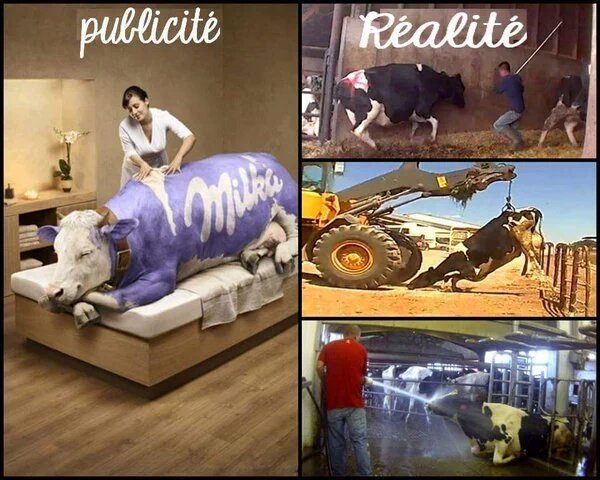 _Naeray's tweet photo. Les publicités ne reflètent pas toujours la réalité.
Ouvrons les yeux. https://t.co/1R85rYEc0m