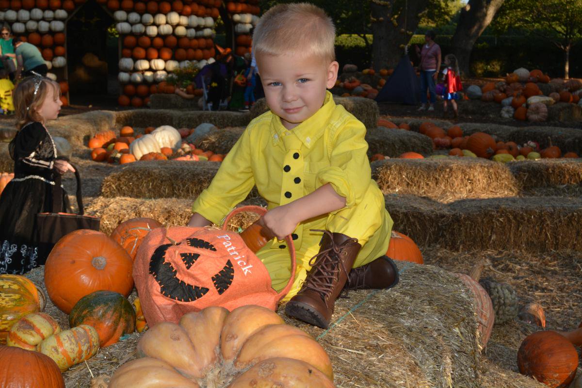 dallasarboretum's tweet photo. #Markyourcal: #TrickorTreat in the Children's Garden 10/27-29 6-9pm: https://t.co/fpR89GcU6J | 10/28-29: Don't miss #Halloween Family Fun. https://t.co/q9eAepNoMQ