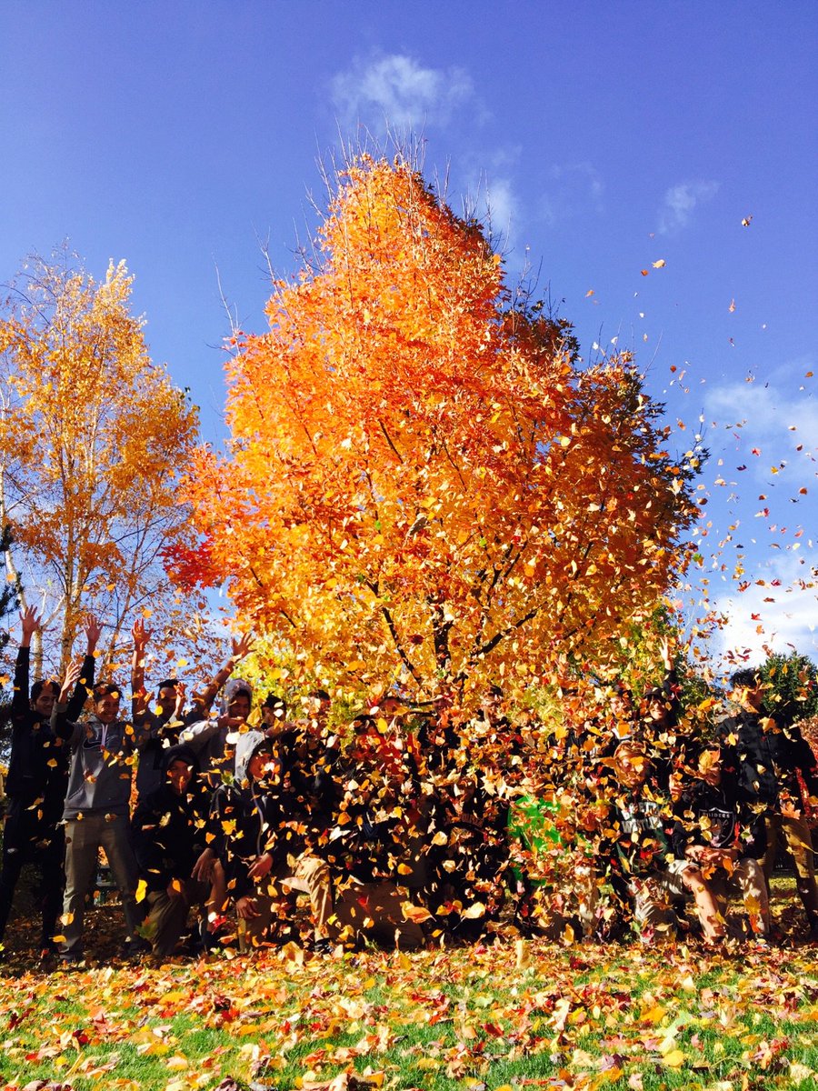 CSDTHAT's tweet image. The football team found an orange tree at Drake Park &amp;amp; Mirror Pond, Bend, Oregon. Forecast for tonight&apos;s game 39°. Good luck &amp;amp; soar high, 🦅!
