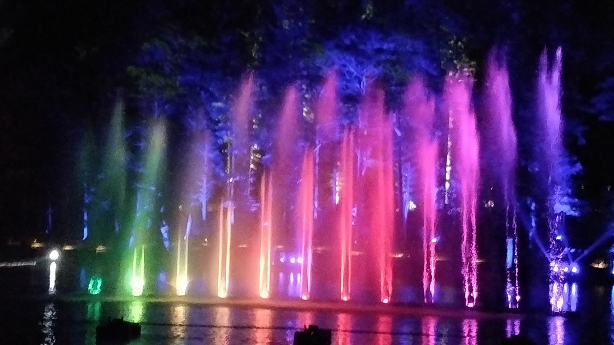 sassenach_tours's tweet image. Beautiful #enchantedforrest spectacular! #pitlochry #scotland #light #lightdisplay