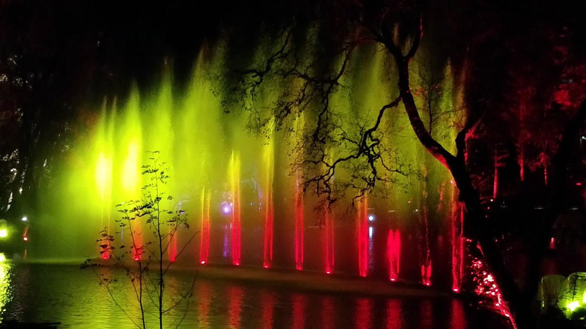 sassenach_tours's tweet image. Beautiful #enchantedforrest spectacular! #pitlochry #scotland #light #lightdisplay