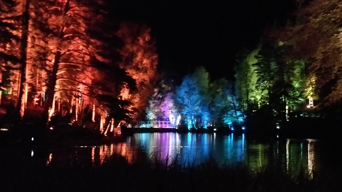 sassenach_tours's tweet image. Beautiful #enchantedforrest spectacular! #pitlochry #scotland #light #lightdisplay