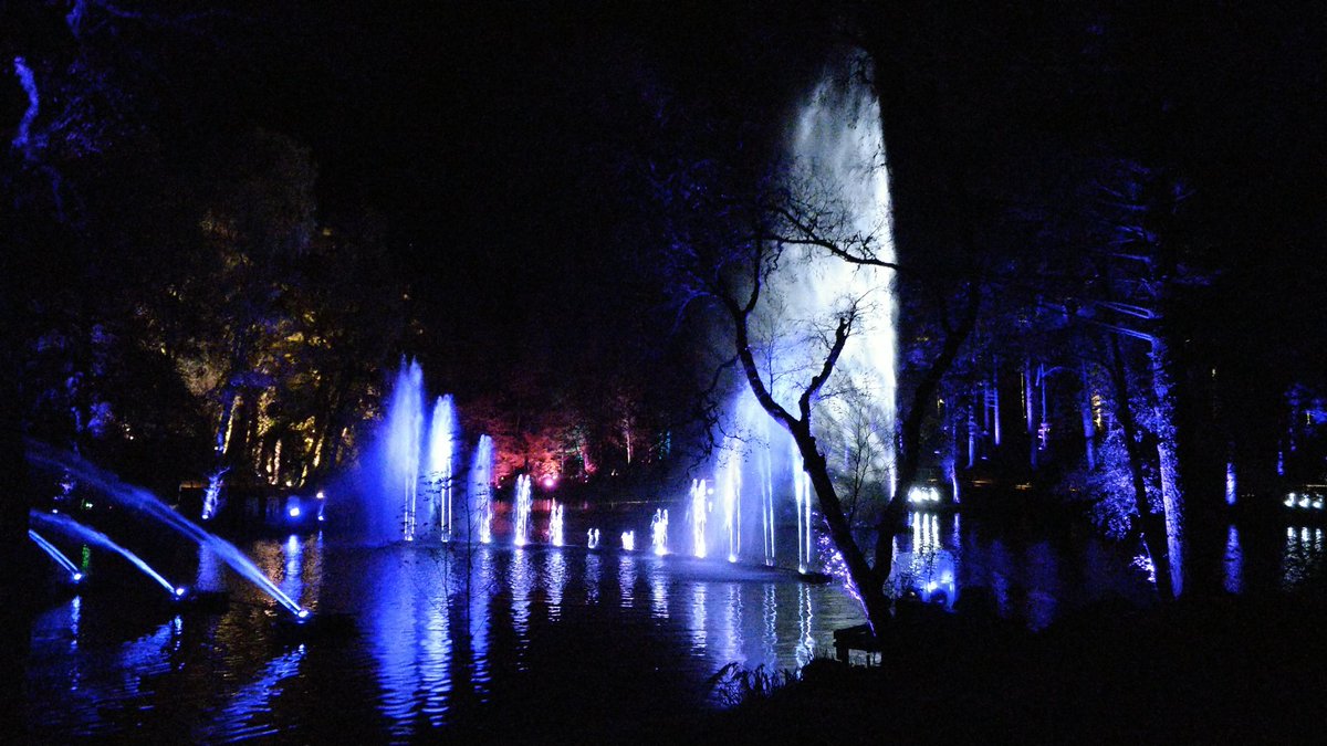 sassenach_tours's tweet image. Beautiful #enchantedforrest spectacular! #pitlochry #scotland #light #lightdisplay