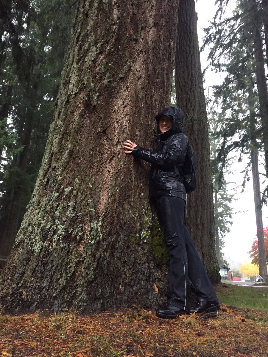 megdurovick's tweet photo. Wet & wild pro d learning about First Peoples connection to our rainforest, a source of food, technology & medicine #cwlearns #talkingtrees https://t.co/hE58HhGnVf