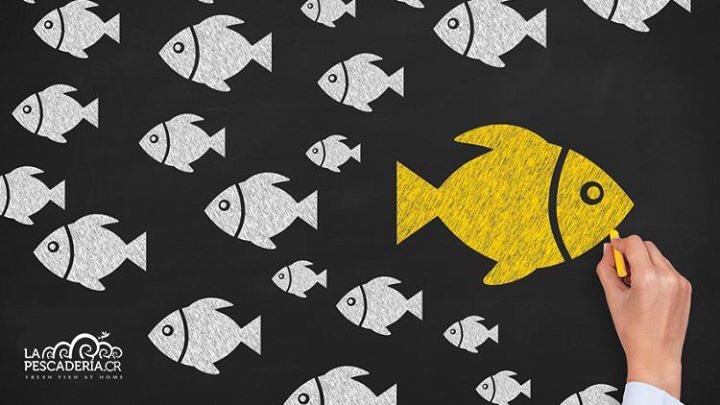 LaPescaderiaCR's tweet photo. No sigas a los demás, vive tu vida abriendo tus propios caminos...

#LaPescaderiaCR #FreshFishAtHome 
#FridayVibes https://t.co/uZzjGmyEEb