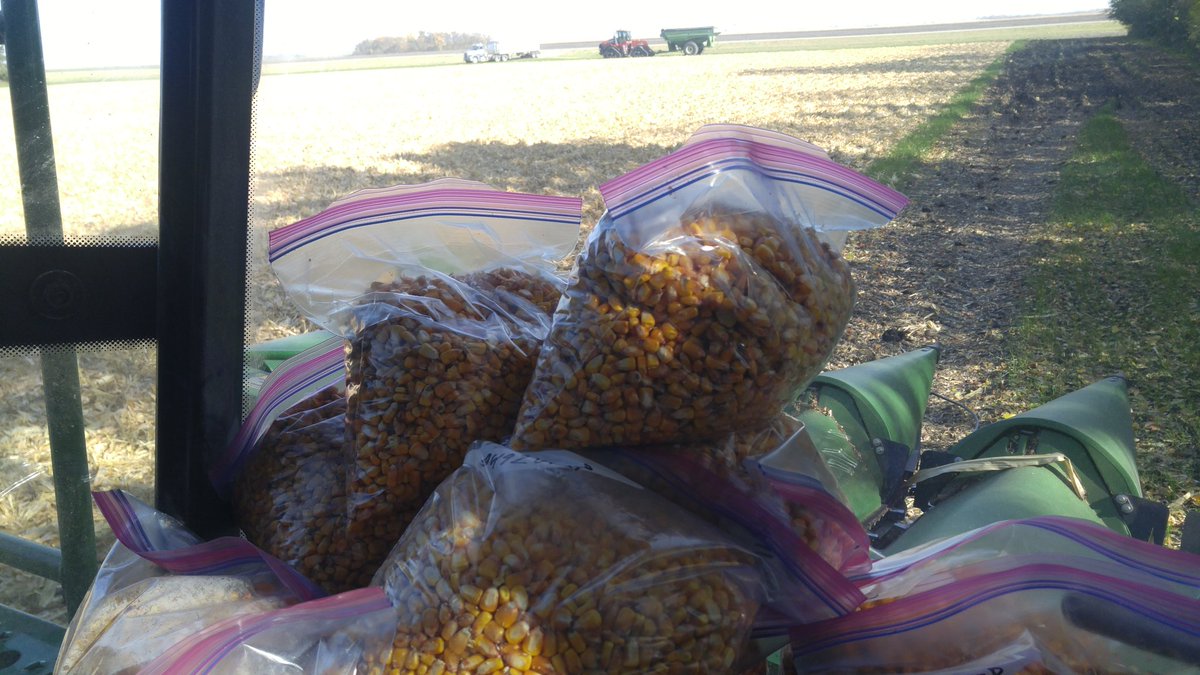 Cody Miller Seeds tweet media