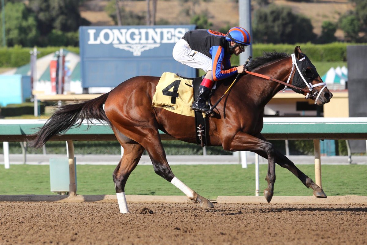 SAPublicity's tweet photo. Axelrod gives Iggy Puglisi his second winner on day in the 7th race @santaanitapark. (Order - #4,2,3,5) https://t.co/O1rNgBnLX5