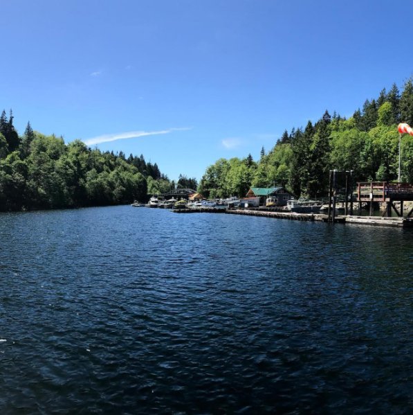 ShinglemillP's tweet photo. See you tonight for dinner? Call us to make a reservation at: 604-483-3545 or 604-483-2001 #PowellLake #restaurant https://t.co/iUei8z4frl