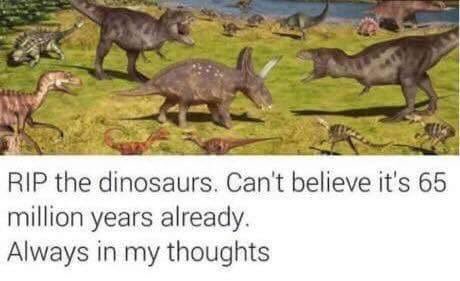 carinbondar's tweet photo. Lest we forget 😔 
#dinosaurs #extinction #RIP 
Via The Science Explorer https://t.co/SVdTOBE9En
