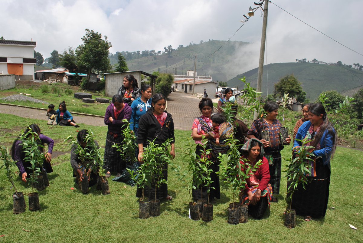 Yabal_'s tweet image. Our artisans are always up to new projects and we do love their initiative #MondayMujer #Yabal #SustainableProjects #MakeItHappen #ChangeIt