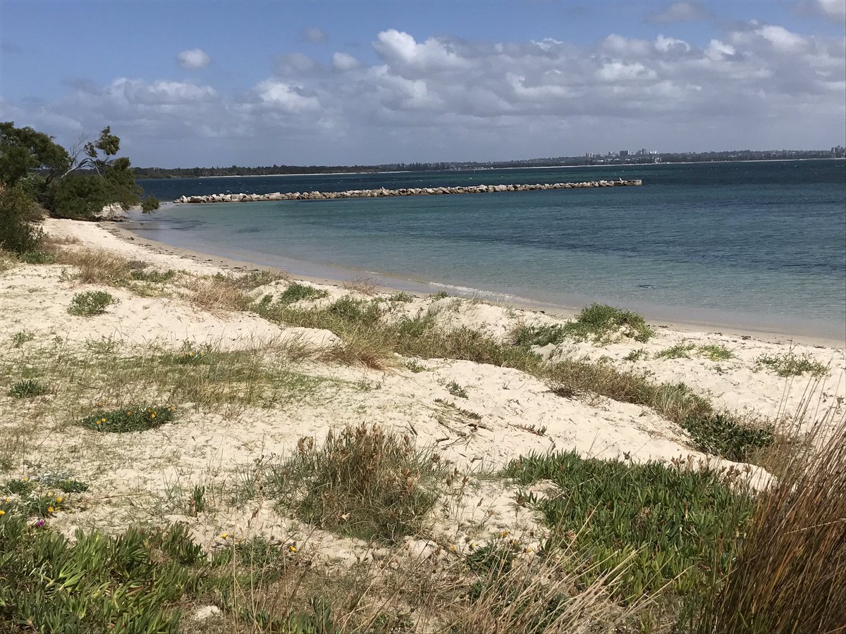 Opening of #scouts + #girlguides 2017 Boree Regatta @ Bonna Point Kurnell today. #BePrepared boreeregatta.org.au