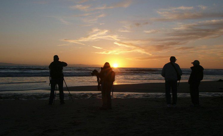 Rollocam_'s tweet photo. Landscape Photography: It’s All About the Light

https://t.co/MPzZtR10Y7 https://t.co/K7IqHV2coH