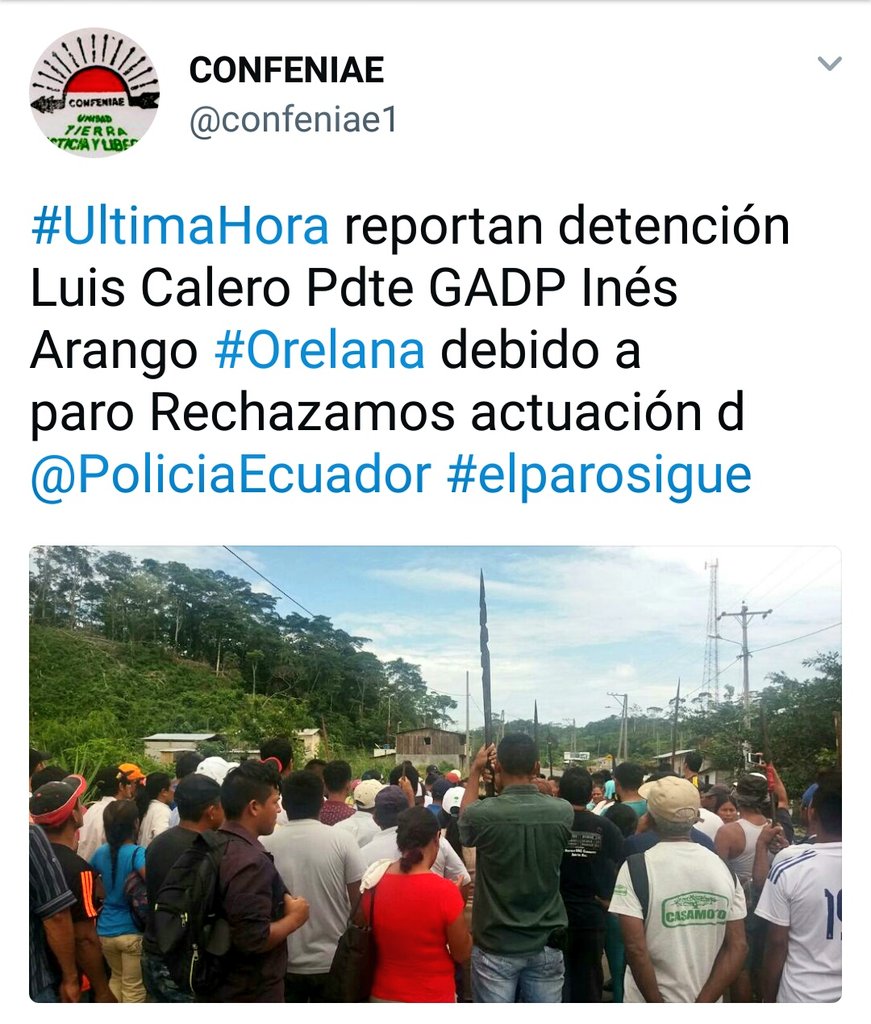 goberorellana's tweet photo. ATENCIÓN: @PoliciaEcuador @goberorellana "Rechazamos totalmente la desinformación emitida por @confeniae1 sobre presunta detención... https://t.co/MGGTOkBYNo