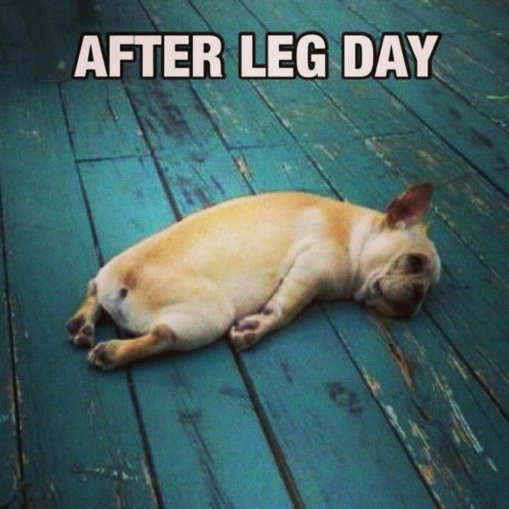 Thanks @hourofchangefitness @tanyapoppett @tabateoexperiment @rdk_workouts <a href="/torielinfitness/">Torie</a> for letting me share y… ift.tt/2yDslDn