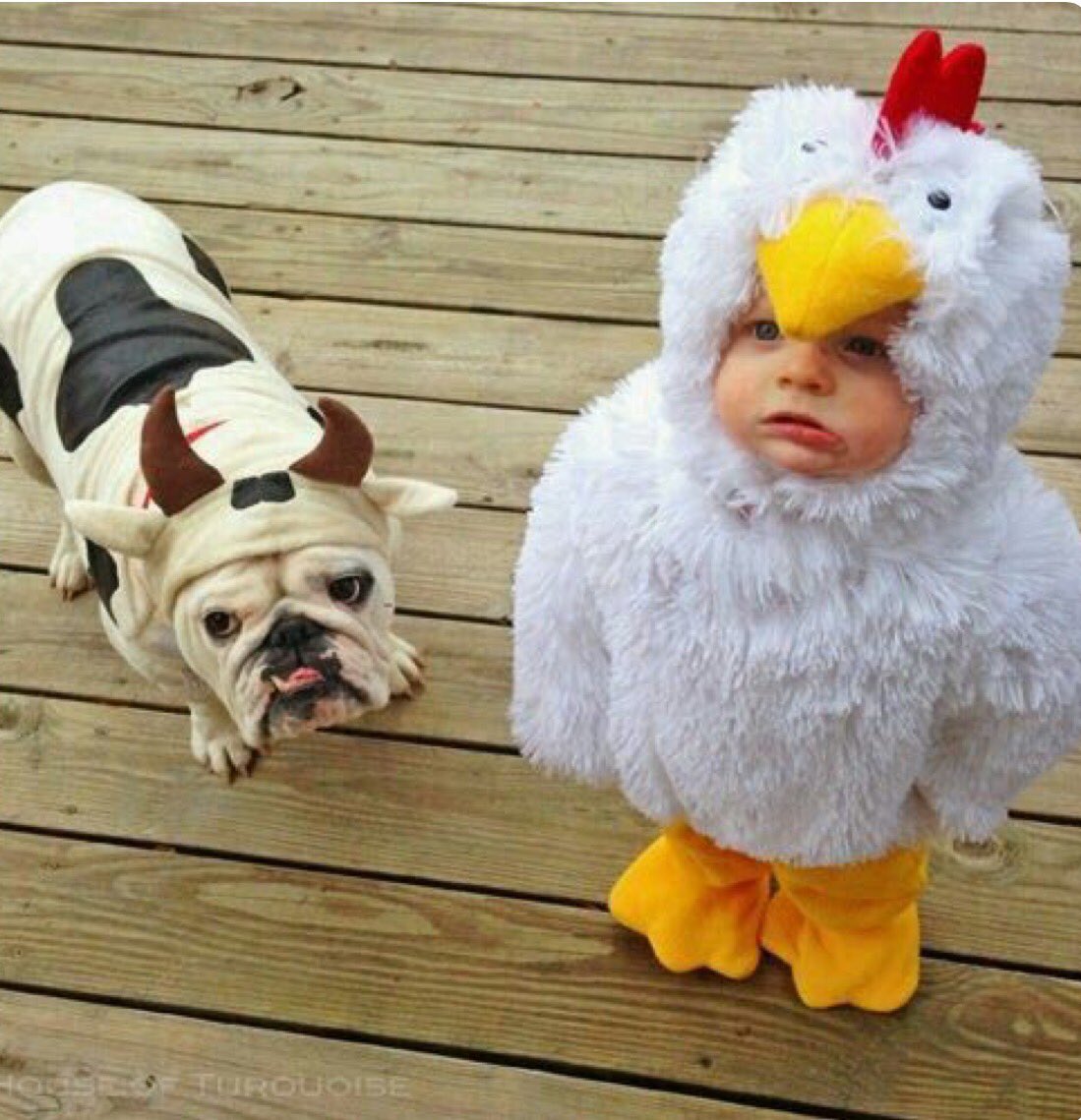 Twitterissa 自分が子供できたらこーゆう可愛い着ぐるみ着せたい 赤ちゃんが動物着てたら可愛くってしょうがないよね サメ アヒル ペンギンとかも色々あって可愛いのがたくさん