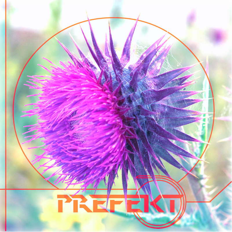 hardgodgod's tweet photo. #nowplaying Martini by prefekt on Martini - Single in KaiserTone ♪♪ https://t.co/wx5YwEEx4R https://t.co/Vxvc8b5sVT