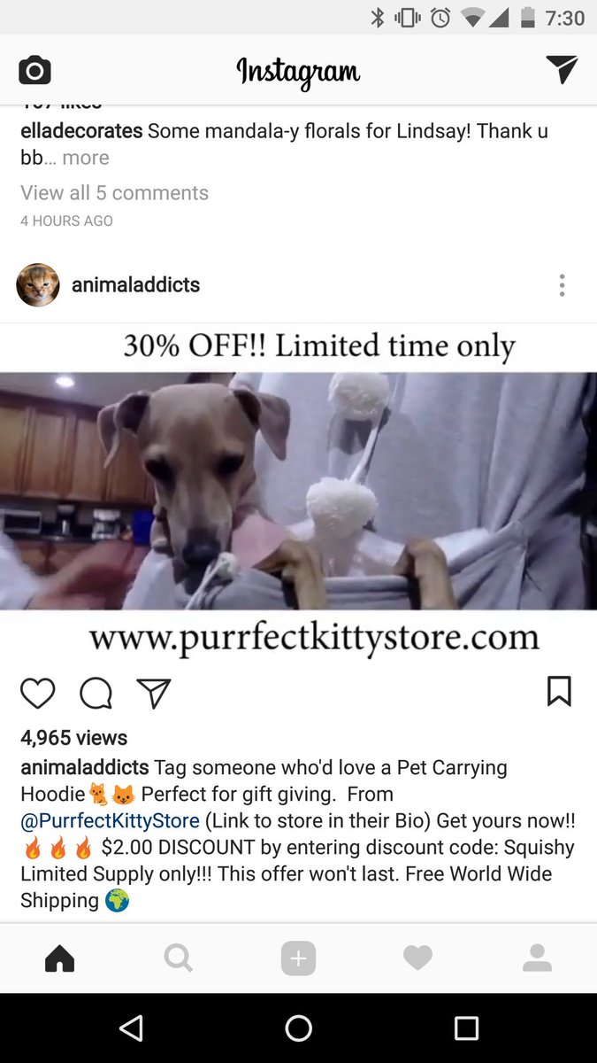 TheStitchinWell's tweet photo. @Jenna_Marbles saw this today on IG.  Did you know they are using your Animals images to sell this?? https://t.co/aQxE3ZEgnX