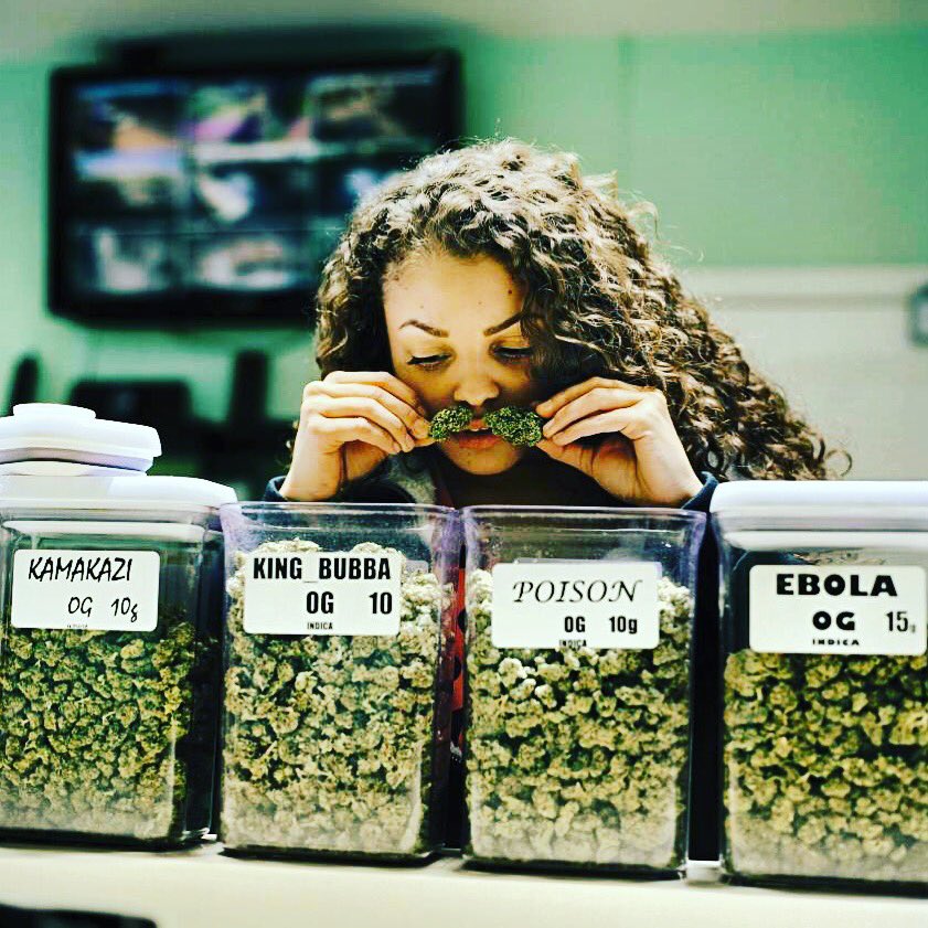CannaFoodFest's tweet photo. I like options when selecting a weed strain but definitely pure sativas are my ultimate bliss 🙏
#puresativa #sativa #weedstrain #dispensary https://t.co/KlSjfX7OB7