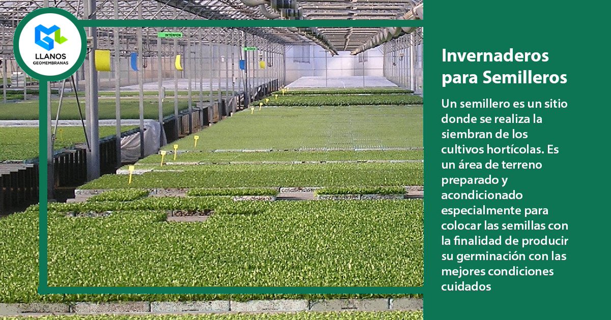 GeomembranasLL's tweet image. Es un sitio donde se realiza la siembran de los cultivos hortícolas. Preparado y acondicionado especialmente para colocar las semillas