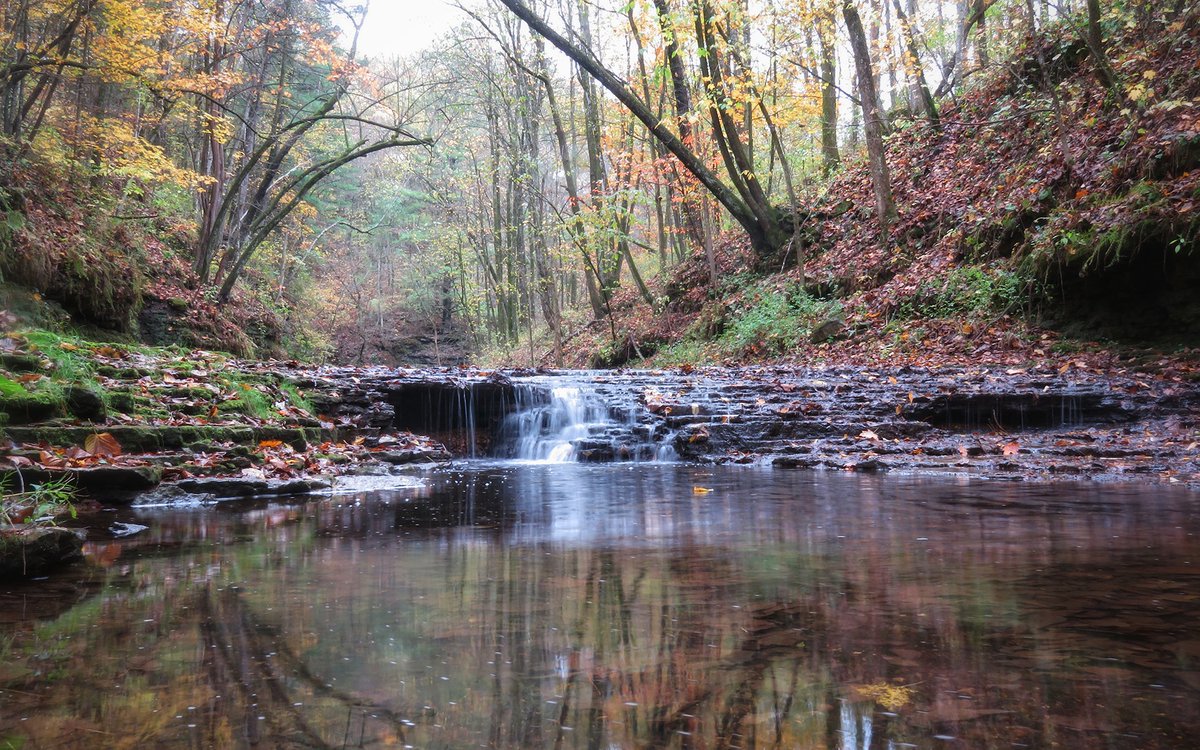 iowadnr's tweet photo. Yeah, that's Iowa. 😍
📷: Brian Gibbs, Bixby State Preserve
#IowaStatePreserves #ThisIsIowa https://t.co/ptyXvYaevv