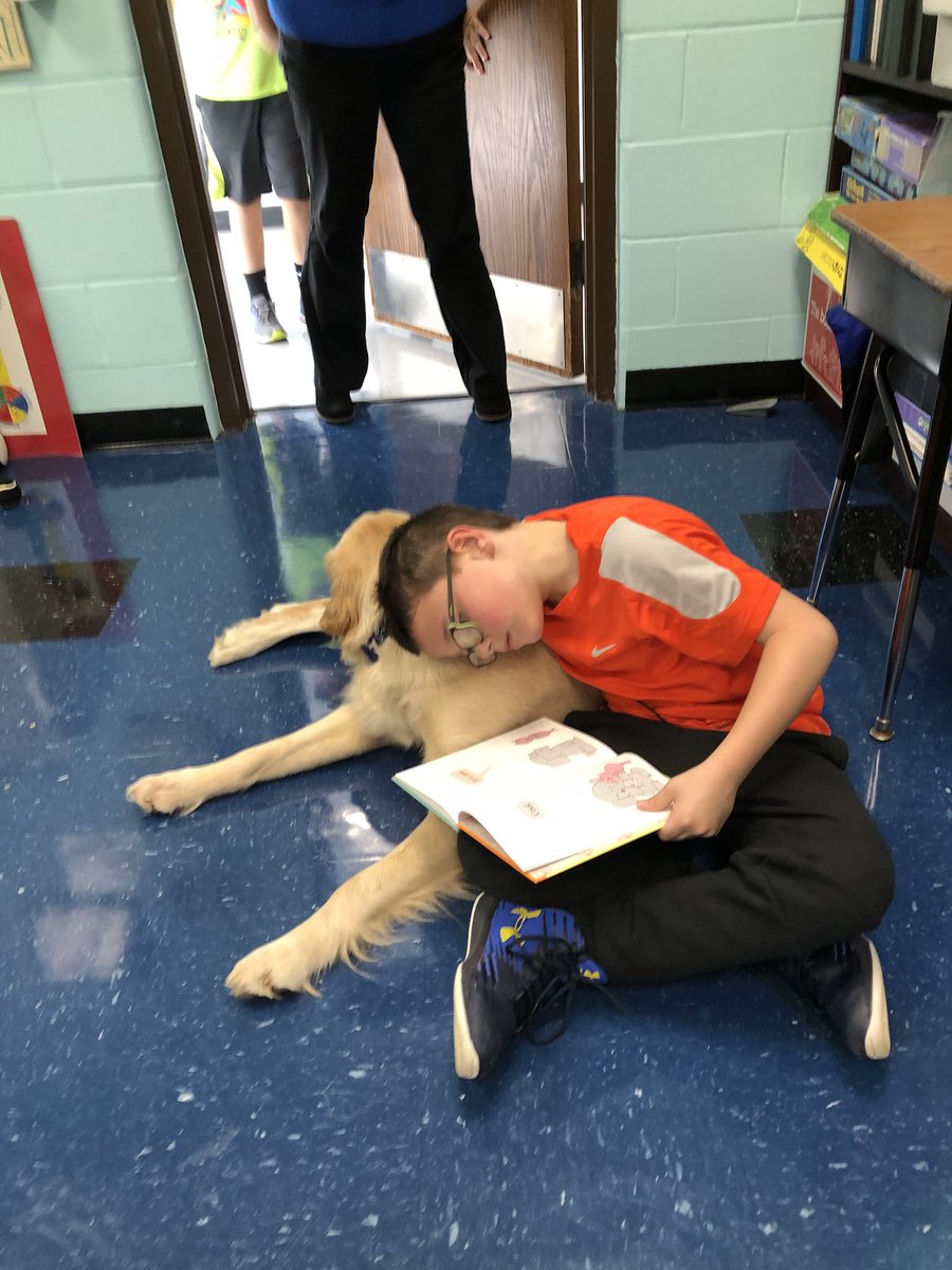 allielynn7111's tweet photo. Because independent reading is better with a dog! 🐶😍@KristenPollara thank you for this! #engaged https://t.co/iL7iGFePQQ