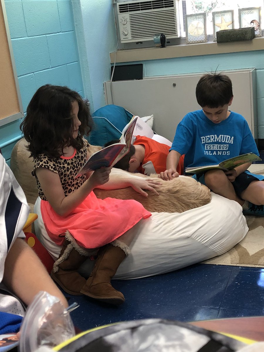 allielynn7111's tweet photo. Because independent reading is better with a dog! 🐶😍@KristenPollara thank you for this! #engaged https://t.co/iL7iGFePQQ
