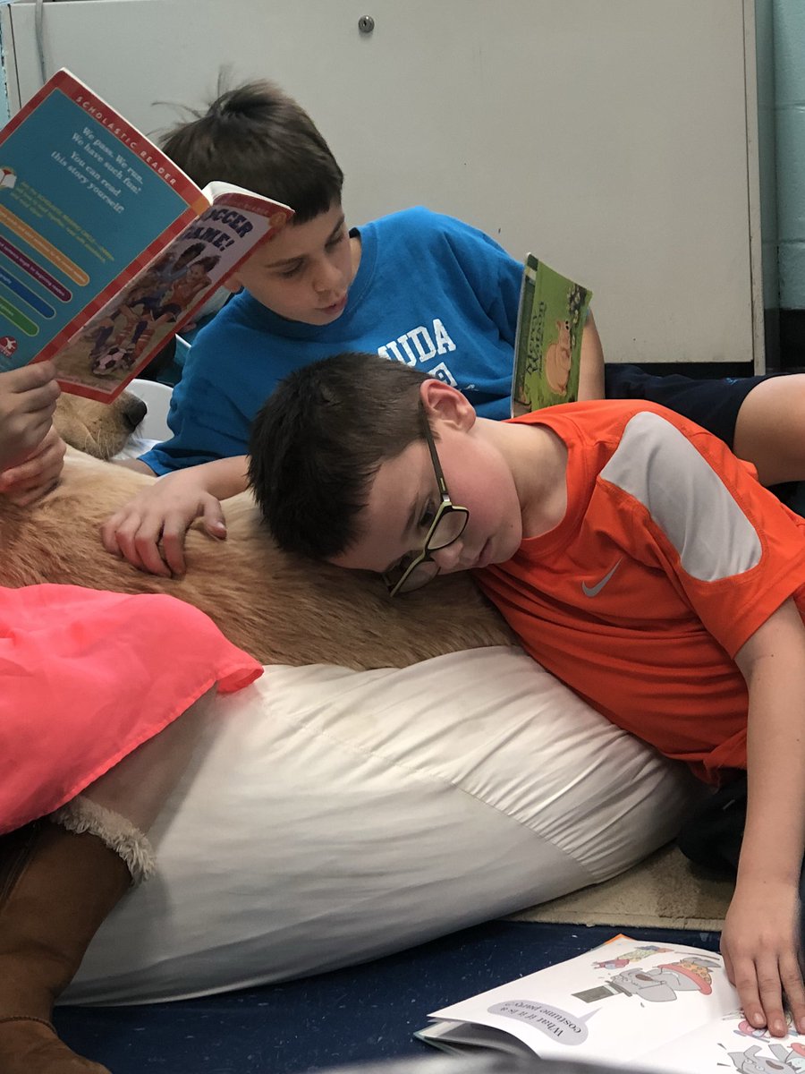 allielynn7111's tweet photo. Because independent reading is better with a dog! 🐶😍@KristenPollara thank you for this! #engaged https://t.co/iL7iGFePQQ