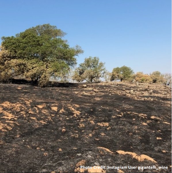 CAL_FIRE's tweet photo. #AtlasFire [update] north &amp; west of Napa (Napa &amp; Solano Co) is 51,624 acres &amp; 88% contained. #SouthernLNUComplex  https://t.co/emojimpbF5 https://t.co/KRrT2kh7T8