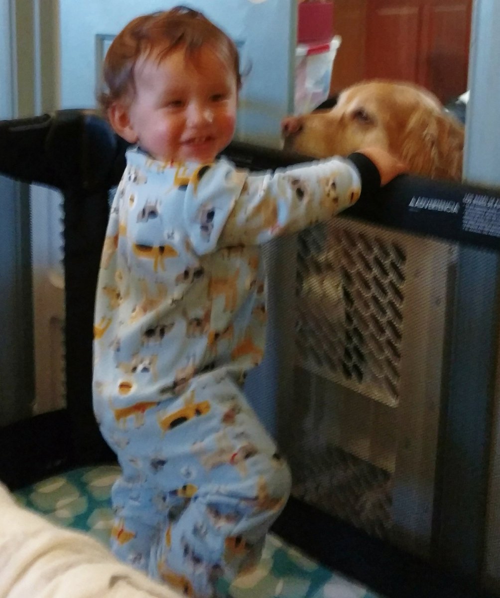 CassidyBitch1's tweet photo. Well this is a nice twist ... They put YOU in the kennel for once, and not me ! 🐕 https://t.co/doXcmxUwnL