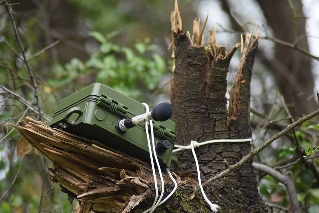 Bioecos E.I.R.L tweet media
