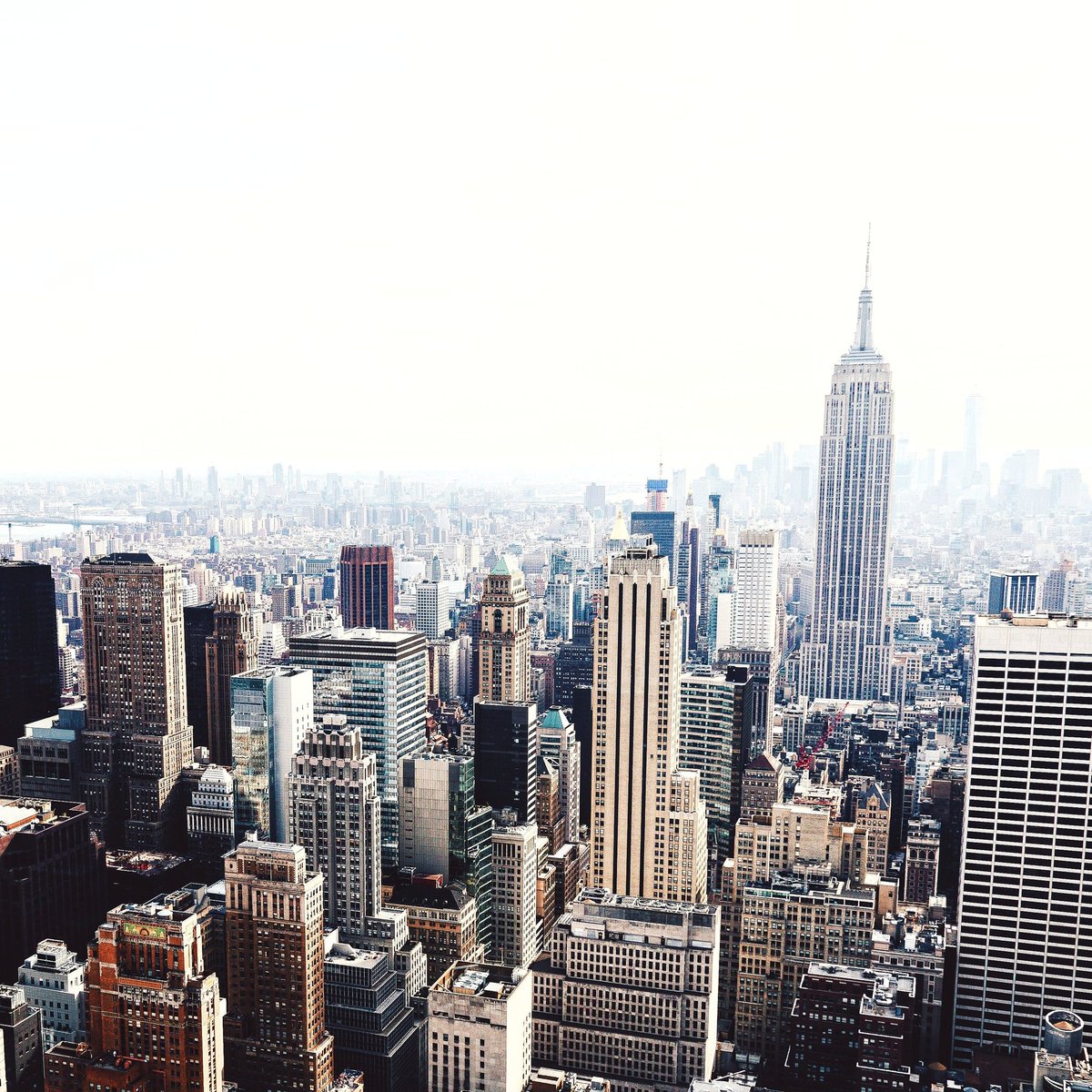 Making Stewards tweet media