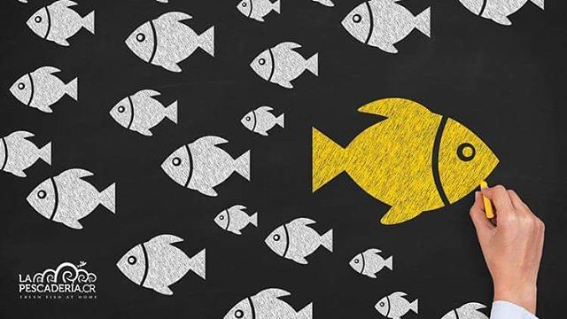 LaPescaderiaCR's tweet photo. No sigas a los demás, vive tu vida abriendo tus propios caminos... #LaPescaderiaCR #FreshFishAtHome  #FridayVibes https://t.co/Tv4KRAF037