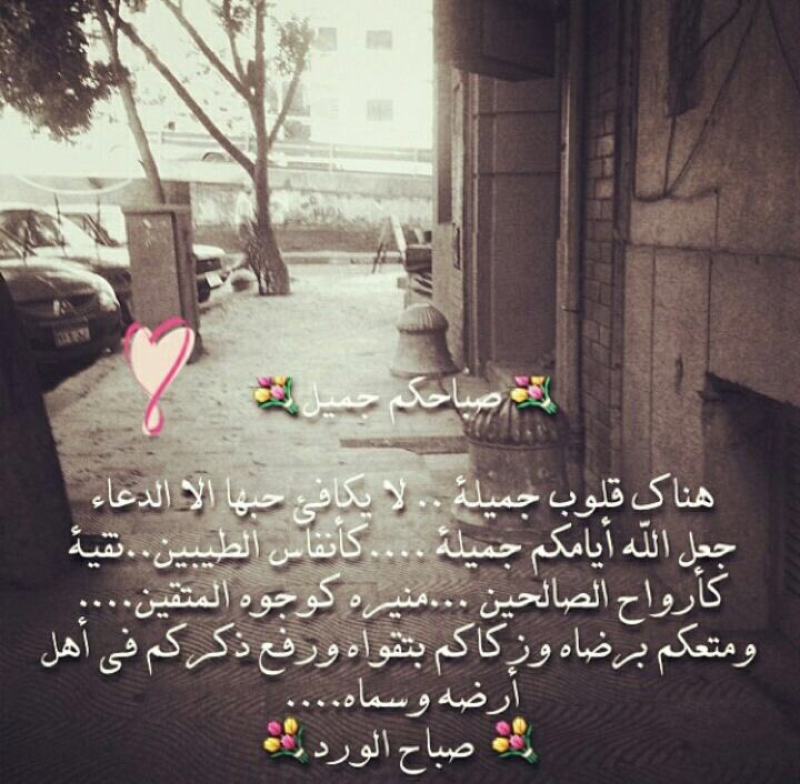 سعد بن عبدالعزيز (@naaiif067) on Twitter photo 