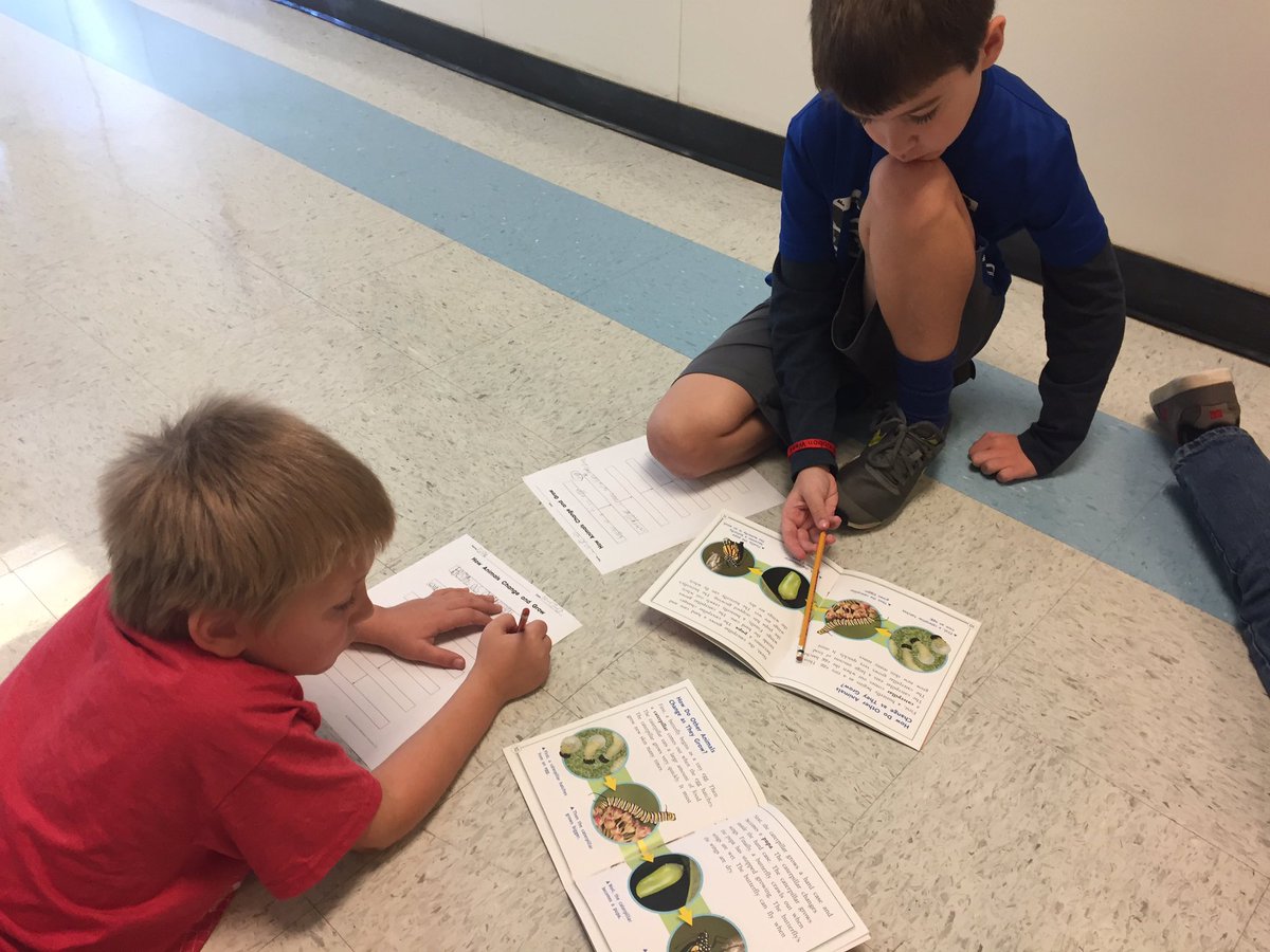 teachelias's tweet photo. Young minds at work sequencing events #whyiteach https://t.co/97MccDzPwV