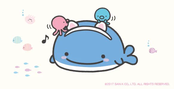 ねこくじら♪
じんべえさんの情報はこちらから→https://t.co/NKA907XPH9 #じんべえさん #ネコンブ 